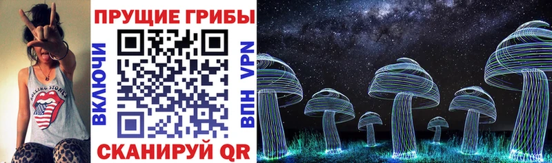 Галлюциногенные грибы мицелий  Алдан 